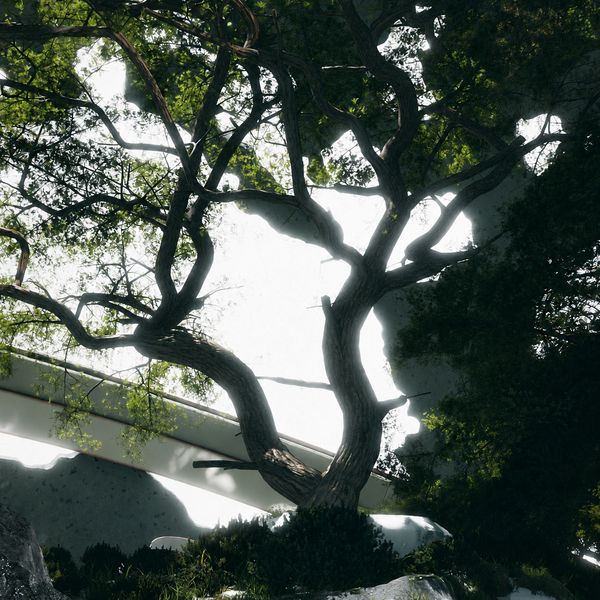 dreexys - environment