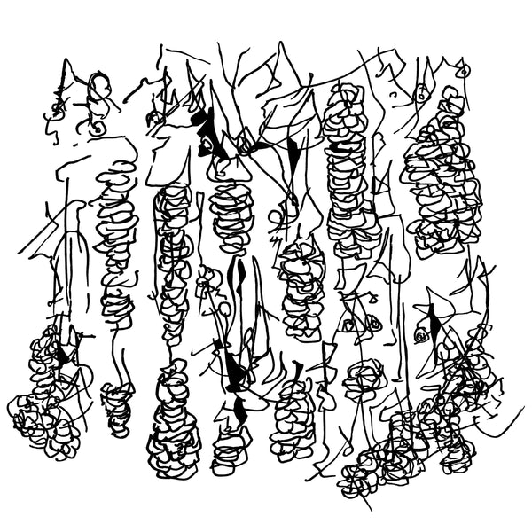 dyap - grains